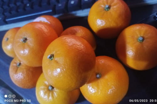 image.thumb.png.99ff062c21fb8bc6c3279667ec62eb3d.png