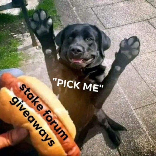 received_815962449508267.thumb.jpeg.697805652bde8194488671c83d154ea1.jpeg