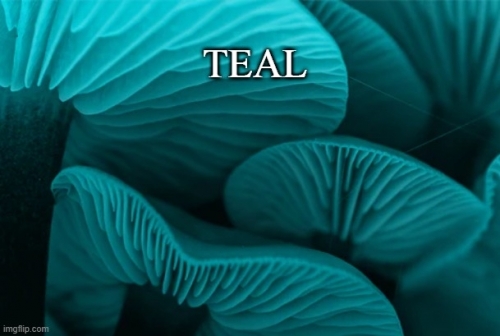 teeal.jpg
