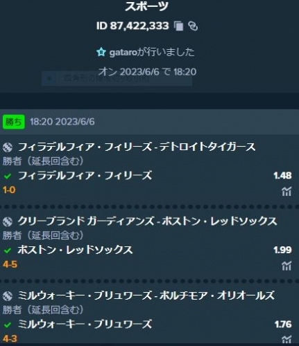 キャプチャ0609-1.JPG