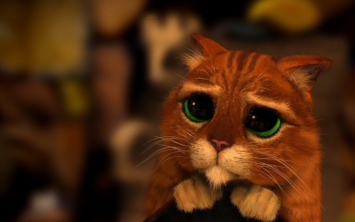 1639921880_2-koshka-top-p-kot-shrek-2.jpg