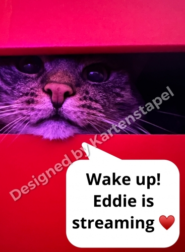4CEB821D-D427-43B6-8150-1D6BD6DEEB63.jpeg