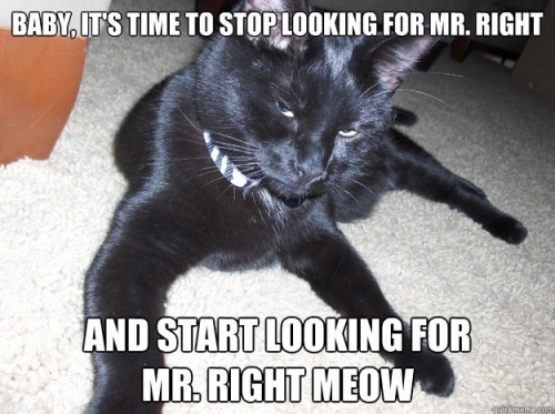 5699b8156d82c.thumb.jpeg.ea8f8e5e907076e0281c32cf5cd7af78.jpeg