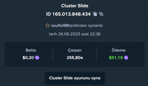 cansın.png