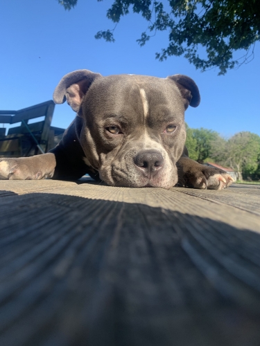 E4976300-58C3-467E-9460-345F169659A2.jpeg