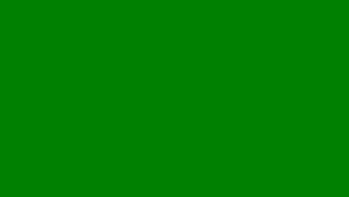 green-color-solid-background-1920x1080.png