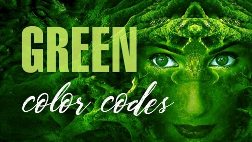 green.thumb.jpg.98b62d6138e9bef44b8b6d5ee53c78ac.jpg