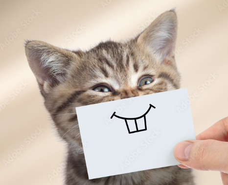 image.png.98c58a77507b1220f4c91686e038229b.png