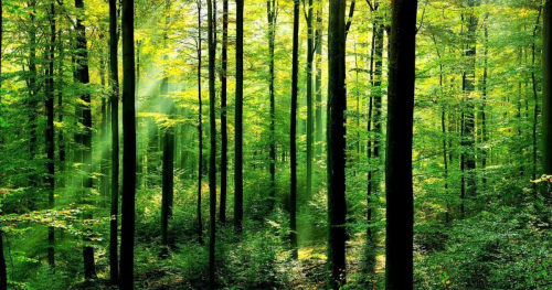 image.thumb.png.2d4b6e1ada290704f57bb4a6e44eb5c9.png