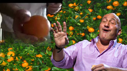 image.thumb.png.5b1997a3372a5bcb18fad0d42725e85c.png