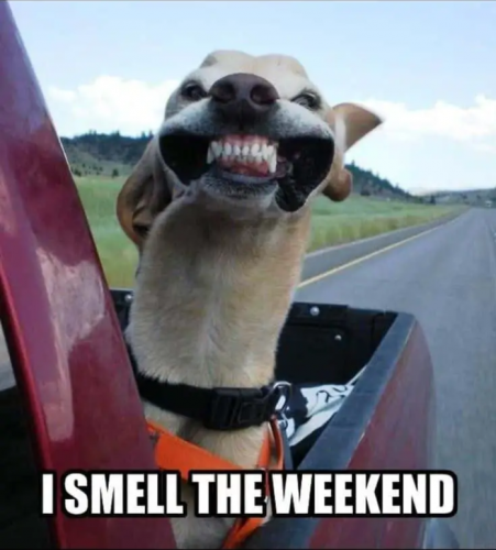 image.thumb.png.c823850e15512c702880ee2dcd8475cc.png