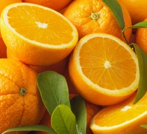 oranges-85fb2b6.webp.5da5bab4829b3d7f80a03ce74da8ec5b.webp
