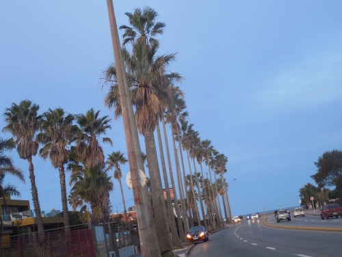 rambla.jpg