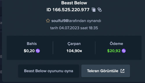 cansın100x.png