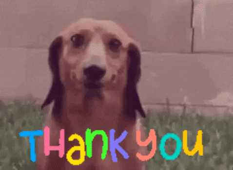 1300938056_giphy(10).gif.757a03a1901250f7de3ee79fb8665bb0.gif