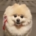 satoki
