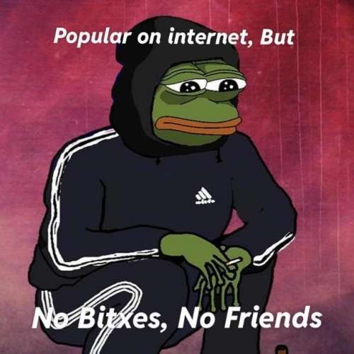 63bd2a17975fe.jpeg