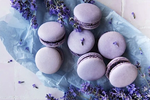 Blue-Lavender-and-Periwinkle-Colors.webp