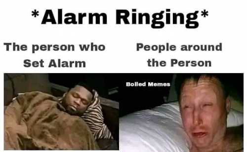 FB_IMG_1690027967554.jpg
