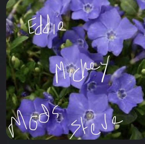 IMG_1721.jpeg
