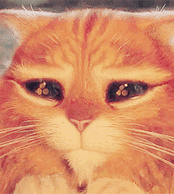 IMG_4806.gif.46dd38cf5757a27b5e08d72778f7457b.gif