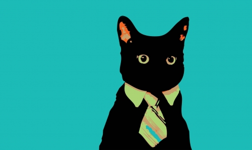 black-cat-meme-rzaglsro00jij8z7.jpg