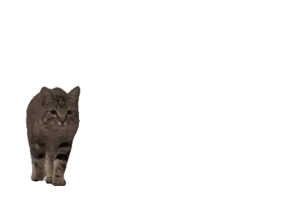 ezgif-2-676b36eb0f.gif.8a279a6abc16dea97af40fd25129f066.gif
