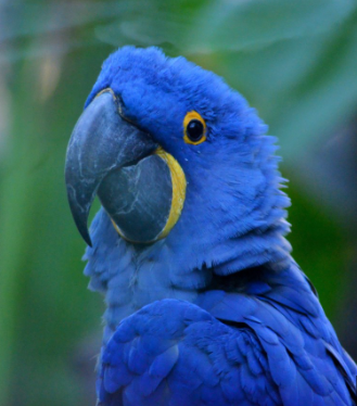 image.png.68808d9e8f0064e049f3e398ec69516f.png