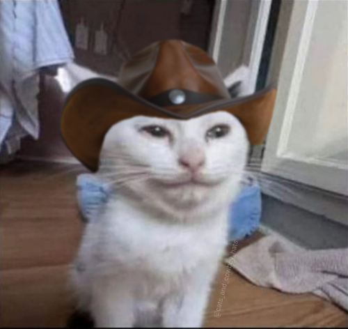 image.thumb.png.07107875d6d69ec439620283c397bc75.png