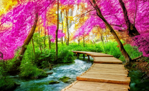 image.thumb.png.14bb09d52cc921389e0ffe2bce6c658c.png