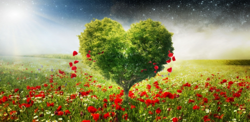 image.thumb.png.c7c55b512895a666fe24377e76ae2a58.png