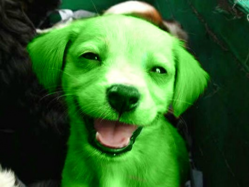 image.thumb.png.ebaf771cb1a8f3162cf22f0ce060d4b9.png