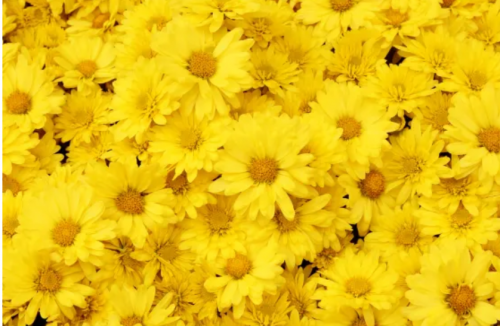 image.thumb.png.f41d8712ed4ea79025000bbe266e0e45.png