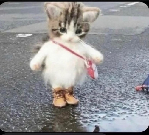 received_952448869316896.jpeg