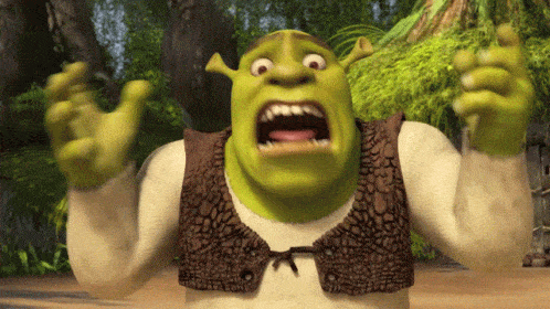 shrek.gif.a782c43501bc1ca0657da91f9a23a690.gif
