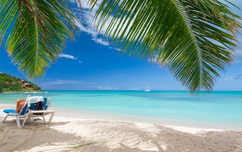 tropicalbeach.jpg