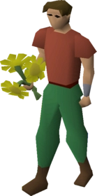 139px-Yellow_flowers_equipped.png.8dee4a1b73736d39ef089572e6a2abd1.png