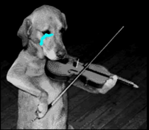 5d6tbv.jpg