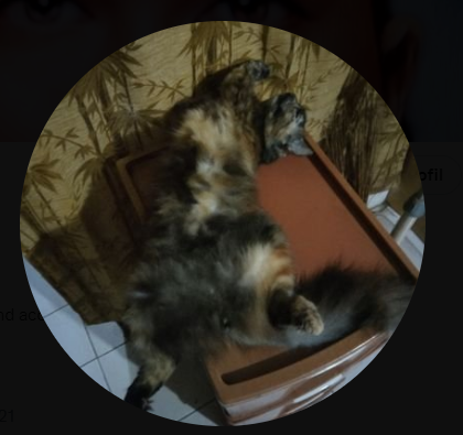 Capture.PNG.c06ca51cbf07dd1c471051b3eba11aa8.PNG