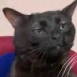 Lukão