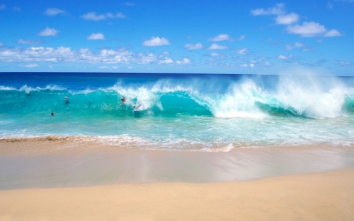 beach_wallpapers_3.jpg