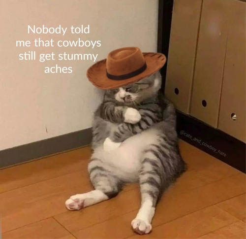 howdy.jpg