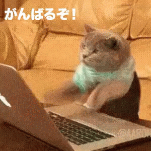jpganbaru-cat.gif.c9d615a111a4335b7623757a6c78650f.gif
