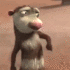 1000685441009340446.gif.146db9085d727031b54b23412318f88b.gif