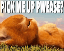 14-05-19-pick-me-up-cat.gif.4eaa503469c8e61d81233fa1f5f861ac.gif