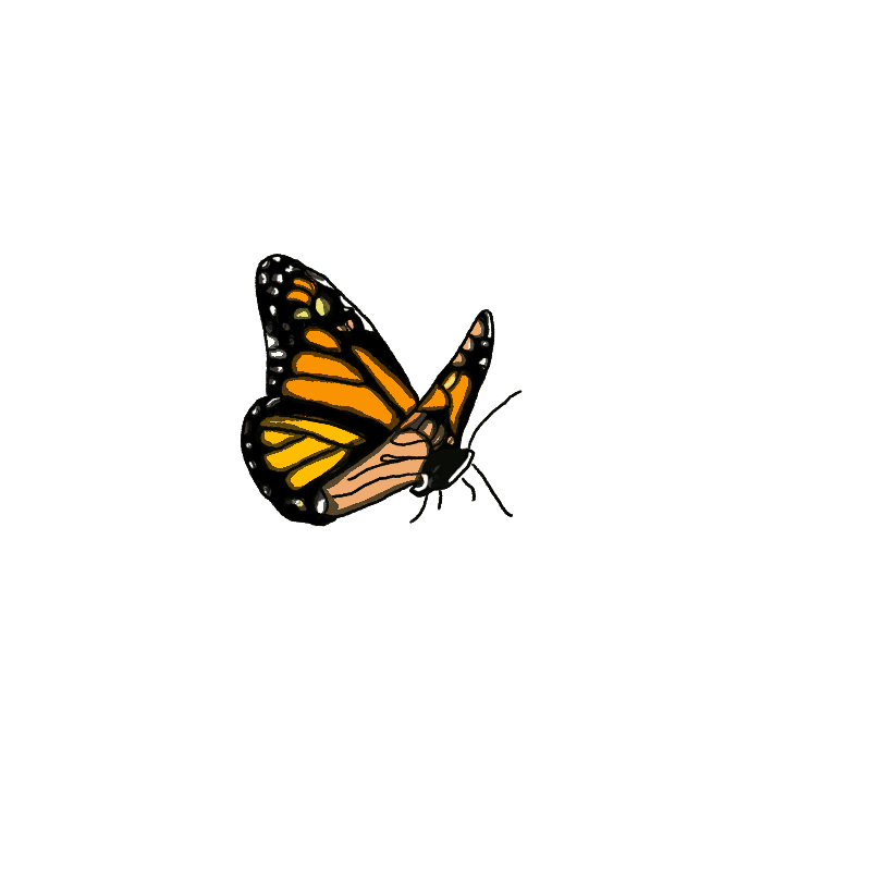 14_9.gif