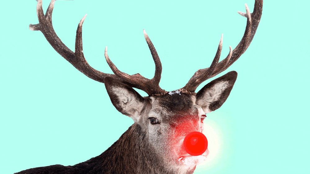 171222-troy-rudolph-tease_jdcphr.gif