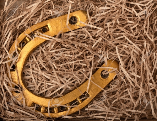 195766511-horseshoe-painted-in-bronze-color-as-a-symbol-of-good-luck-or-success-top-view.thumb.jpg.9a01c7e5cbddb1679fca7e6495309cfa.jpg