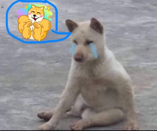 2FA3F2E7-657C-41F5-BF3D-275C8D8FF07B.jpeg