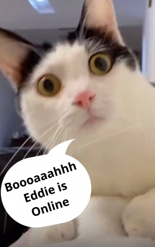 B03E2F68-9D79-4708-86EA-F27B00997772.jpeg